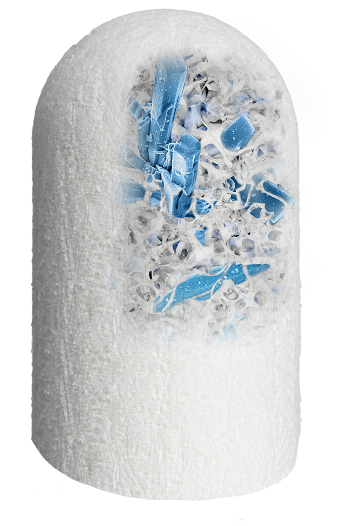 OsteoGen Plug
